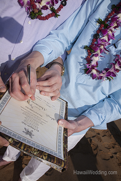 obtaining a marriage license on Maui