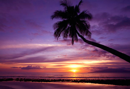sunset on maui beach for a wedding
