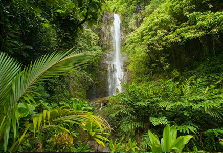 waterfall weddings on Maui