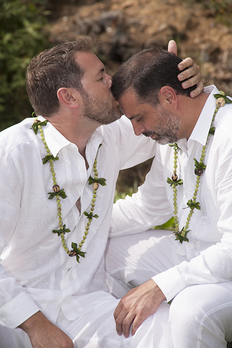 gay wedding, hawaii gay wedding